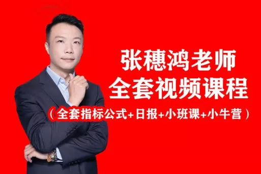 最新2025年张老师[小班课+高级课]以及全套学习日报+最新指标 送24年3月线下课语音文稿