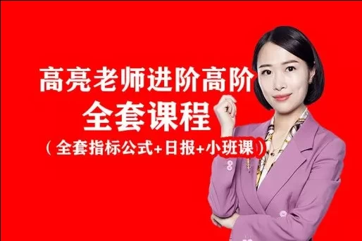 高亮-闪亮之星趋势王者全套课程（指标+日报+小班课+带更新）