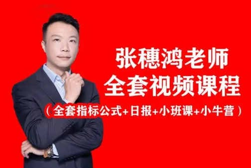 2026财学堂张穗鸿-龙虎跃鸿雁精修全套课程（指标+日报+小班课+带更新）