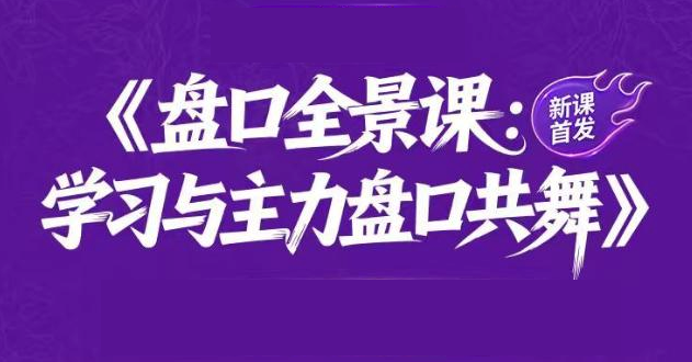 盘口周期系统课+盘口全景系统课不带更新